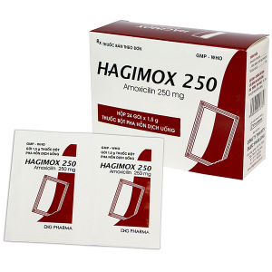 Hagimox 250mg Amoxicillin Dhg H/24 gói