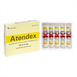 Linco nắp đỏ Atendex J H/10 lọ
