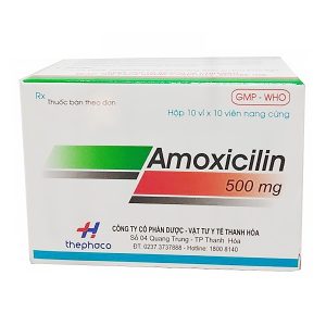 Amoxicillin 500mg Thephaco H/100