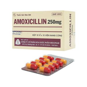 Amoxicillin 250mg Mekophar H/100