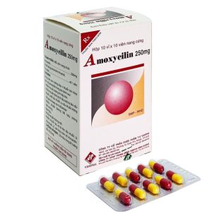 Amoxicillin 250mg Vidipha H/100 viên