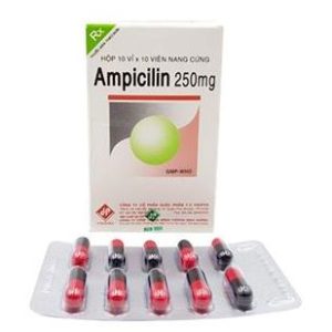 Ampicilin 250mg Vidipha H/100v