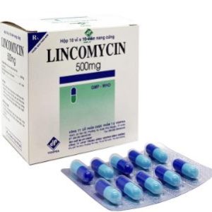 Lincomycin 500mg Vidipha (H/100v)