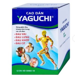 Cao Dán Nóng Yaguchi Thiên Ân (Hộp/20 gói/5 miếng)