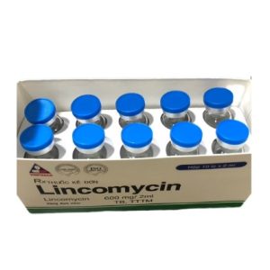 Linco 600mg/2ml J Vinphaco nắp xanh H/10 lọ