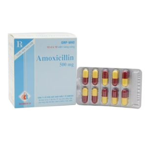 Amoxicillin 500mg Domesco (H/100v)