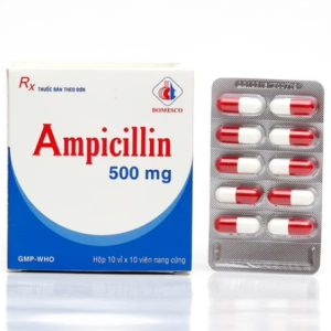 Ampicillin 500mg Domesco (H/100v)