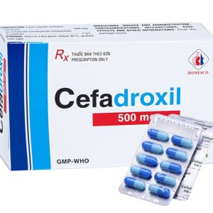 Cefadroxil 500mg DMC H/100 viên