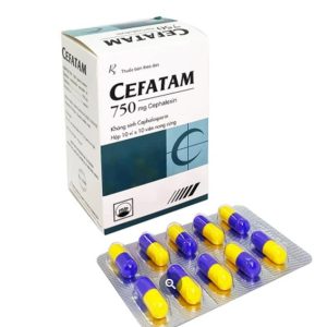 Cefatam Cephalexin 750mg Pymepharco H/100