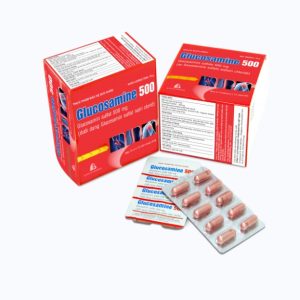 Glucosamin 500mg Boston H/100