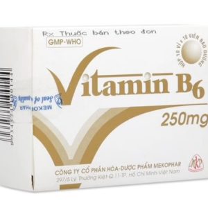 Vitamin B6 Mekophar H/100