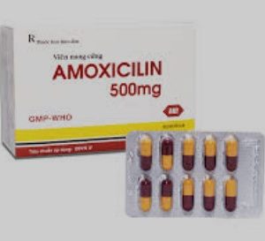 Amoxicillin 500 mg Mebiphar H/100 viên