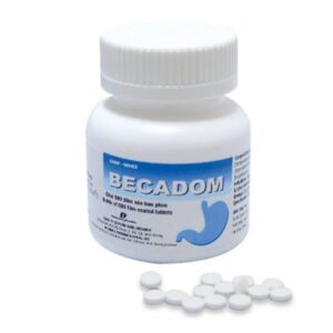 Becadom Domperidon 10mg Enlie chai 500 viên